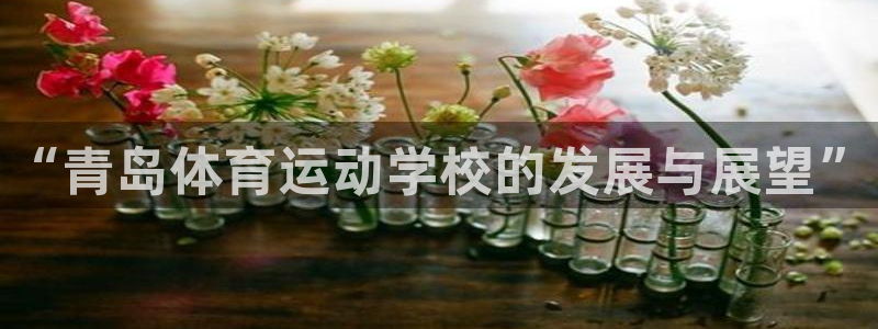 MK体育官网下载平台