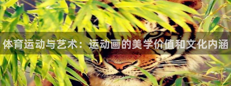 MK体育官网下载平台注册流程视频：体育运动与艺术：运
