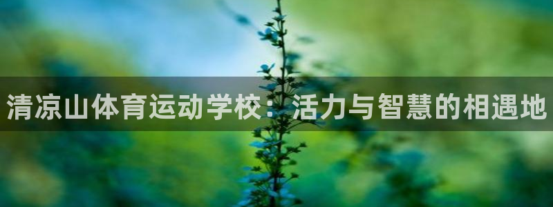 MK体育官方正版app娱乐是那个系列的台子：清凉山体