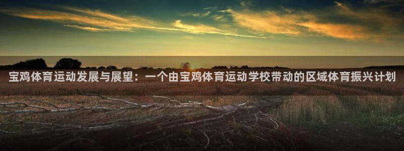MK体育官网下载平台注册：宝鸡体育运动发展与展望：一