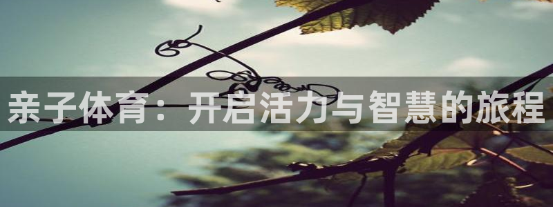 MK体育官网下载平台是正规平台吗安全吗：亲子体育：开