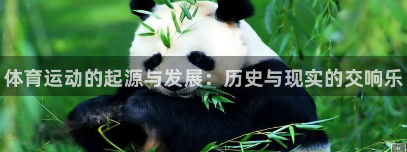 MK体育官网下载平台是正规平台吗知乎：体育运动的起源
