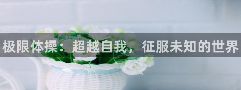 海南MK体育官网下载