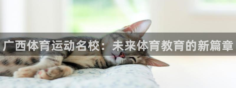 MK体育官方正版app集团官网首页网址：广西体育运动