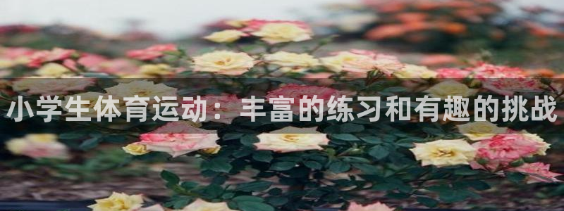 MK体育官网下载招商电话是多少啊：小学生体育运动：丰富的练习