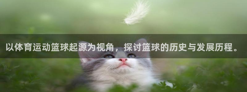 MK体育官方正版app集团logo：以体育运动篮球起源为视角