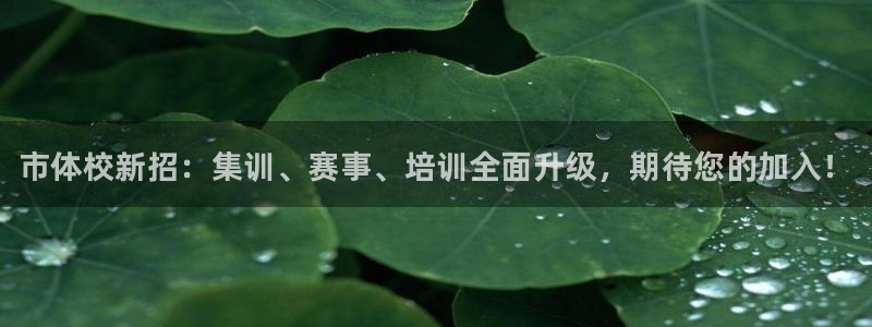 MK体育官方正版app娱乐网站：市体校新招：集训、赛事、培训