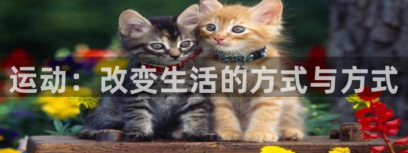 MK体育官网下载招商电话号码是多少：运动：改变生活的方式与方