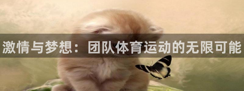 MK体育官网下载：激情与梦想：团队体育运动的无限可能