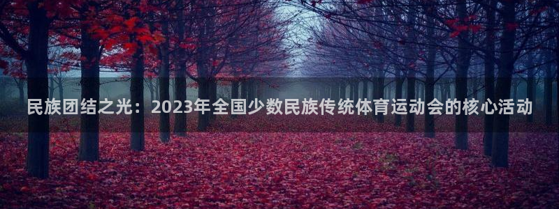 MK体育官网下载平台注册：民族团结之光：2023年全国少数民