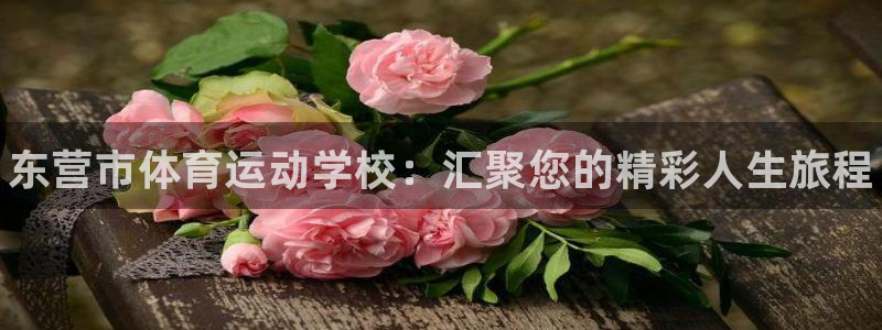 MK体育官网下载招商电话是多少号码：东营市体育运动学校：汇聚