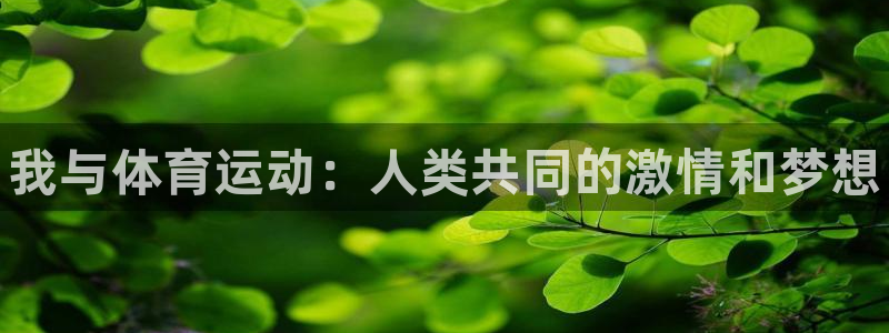 MK体育官网下载平台：我与体育运动：人类共同的激情和
