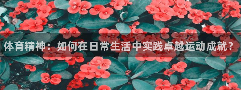 MK体育官方正版app集团官网首页网址：体育精神：如何在日常
