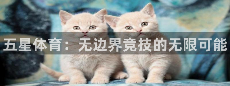 MK体育官网下载开户