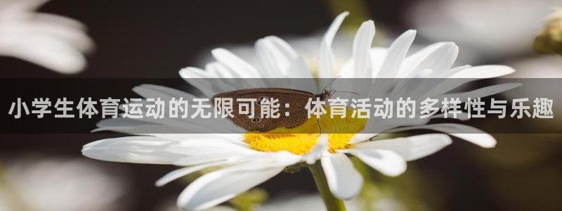 MK体育官方正版app官方