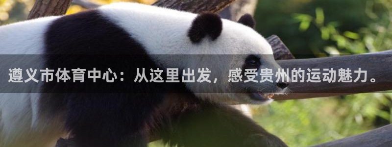 MK体育官网下载招商电话号码：遵义市体育中心：从这里出发，感