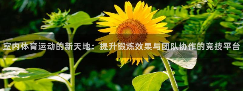MK体育官方正版app科技：室内体育运动的新天地：提升锻炼效