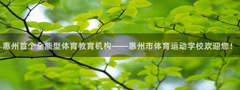 MK体育官网下载平台注册：惠州首个全能型体育教育机构——惠州